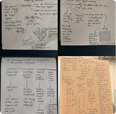 Handwritten notes and sketches about cellular and molecular biology